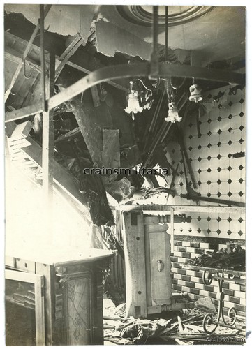 Orig gigante foto albatros - orig.,