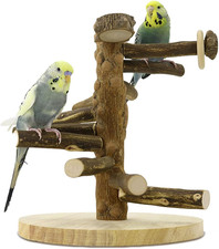 Parco Giochi per Pappagallo