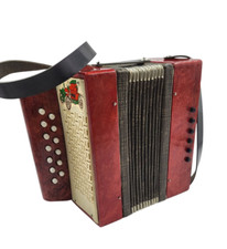 Fisarmonica Bayan per bambini