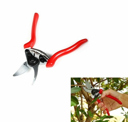 Pruning scissors shears blade - scissors,