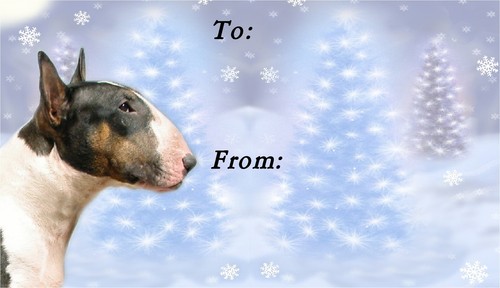 Bull terrier christmas - christmas, labels