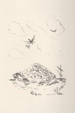 Filippo De Pisis  - Tartaruga