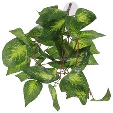  Piante Terrario in Plastica