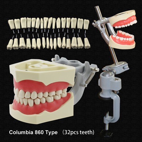 Palo montaggio dental - palo, di