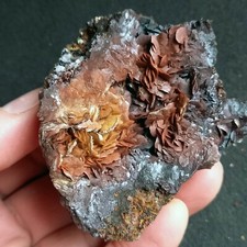 3.12 - SIDERITE, Pirite cristalli (Brosso Mine, Torino, Piemonte, Italia)