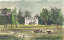 WHITTON PARK , incisione