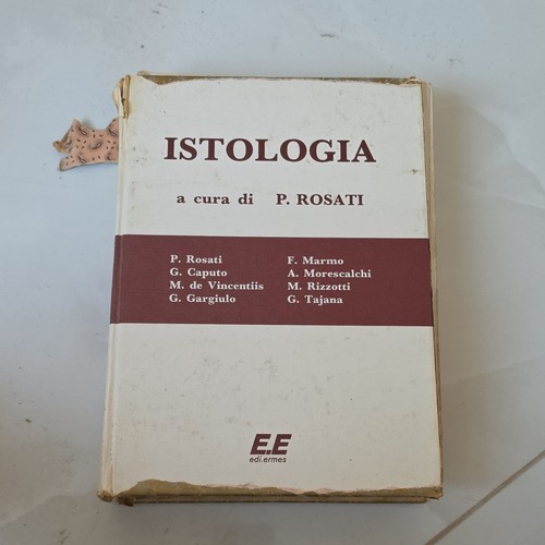 Edi ermes istologia - istologia, di