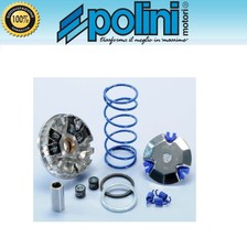 Polini variatore 241 670 - polini, 241.670