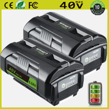 2 batterie 36 V 6,0 Ah per