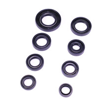 Set Di Guarnizioni Per Motore