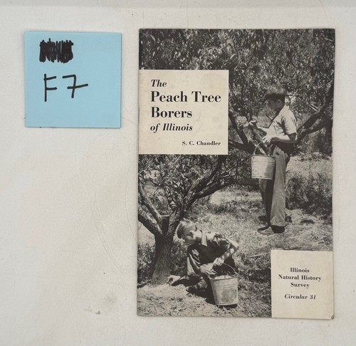 1939 peach tree - 1939,