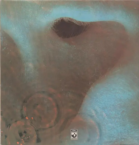 Pink floyd meddle stampa - floyd,