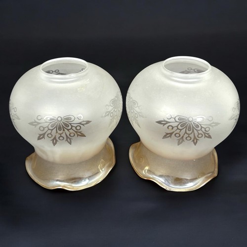 Lot globes tulipes en - globes,