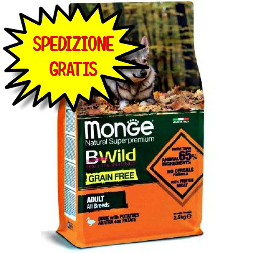 Monge cane crocchetta - crocchetta, bwild