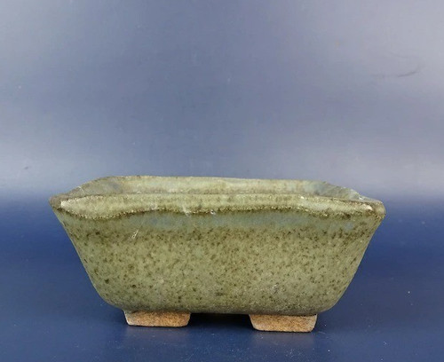 Vaso per bonsai giapponese