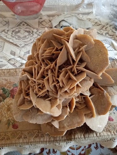 Rosa del deserto pietra - del,