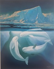 Stampa fine art wyland - stampa,