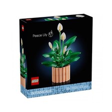 LEGO Botanicals Spatifillo