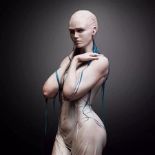 Busto figure resina 1/9 doccia