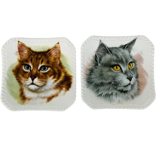 Vintage royal adderly - royal, cat