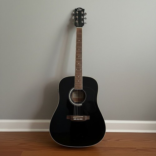 Chitarra acustica eko ranger - acustica,
