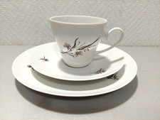 Rosenthal porcellana