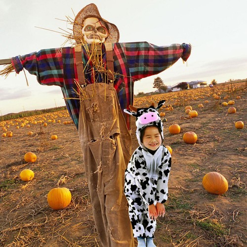 Costumi halloween per bambini - ,