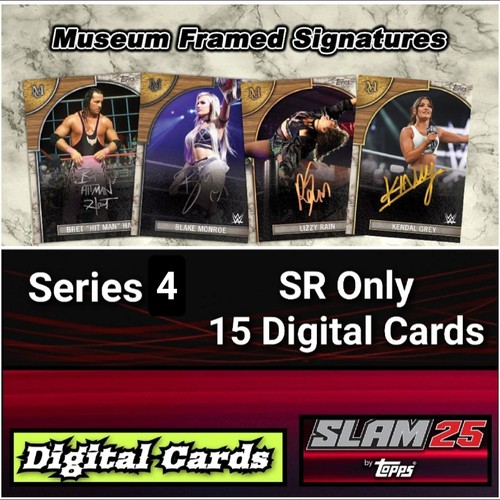 Topps wwe slam museum framed - wwe,