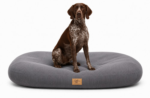 Cuccia ortopedica per - , cani
