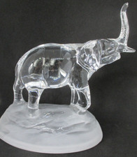 Più Vecchi Massiccia Elefante