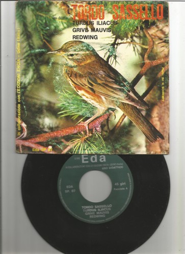 Canto degli uccelli disco - , 45