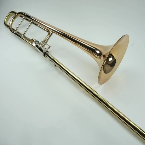 Custodia rigida trombone bach - trombone,