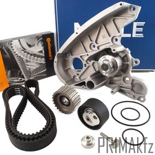 Conti Cinghia Distribuzione