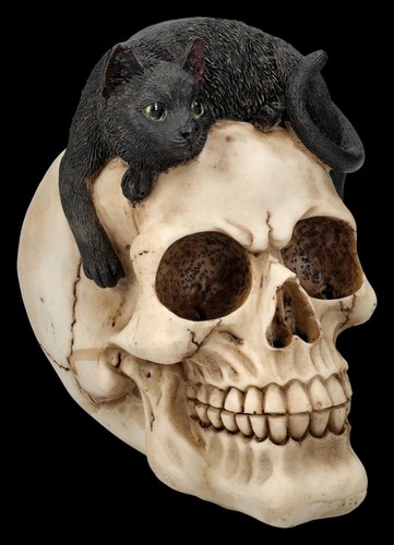 Figur totenkopf con gatto - figur,