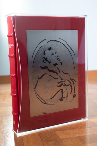 Libro san francesco assisi - libro,