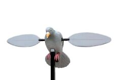 Colombaccio Ali Rotanti