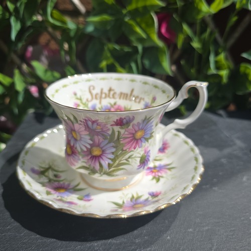 Tazza piattino vintage royal - piattino,