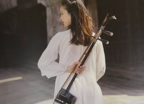 Violino cinese corde - violino,