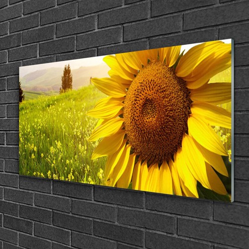 Quadro stampa vetro wall art - quadro,