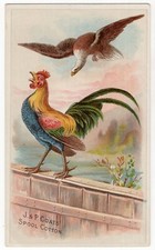 Carta commerciale in cotone
