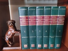 BREHM - ANNI'60 - VITA DEGLI ANIMALI - n. 6 VOLUMI - ISTITUTO EDITORIALE MODERNO