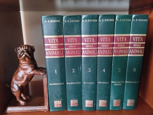 Brehm anni vita degli - anni'60,