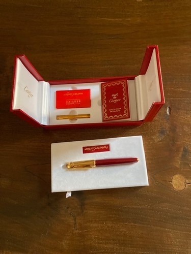 Penna stilografica pasha - penna,