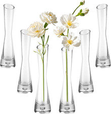 Confezione Da 6 Vasi in Vetro