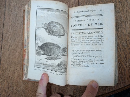 Libro antico storia - libro,