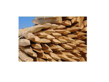 PALO CASTAGNO NATURALE NON