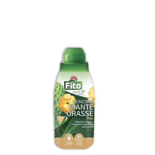 Fito piante grasse - |,