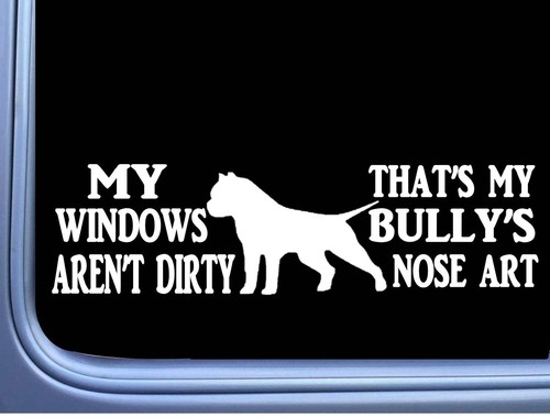 American bully sticker nose - american,