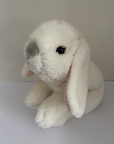 White lop eared bunny coniglio - white,