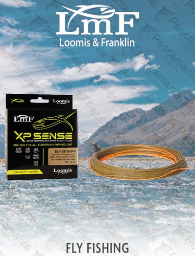 Coda topo lmf loomis - lmf,